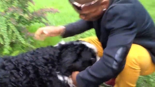 Soto Is Back To Moscow