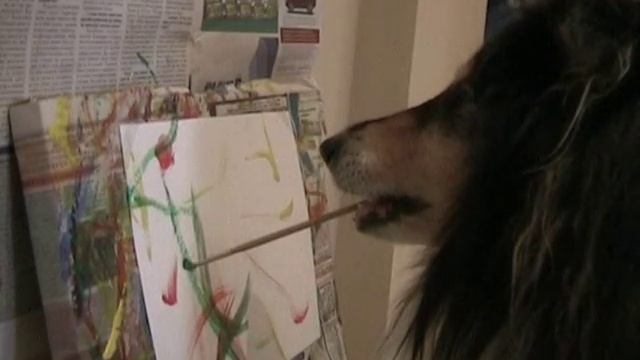 Собака пишет картины (A dog paints pictures) смотреть онлайн