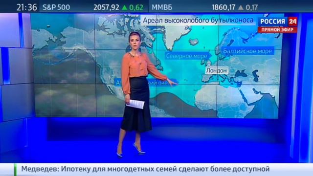 Екатерина Григорова 6.04.2016 смотреть онлайн