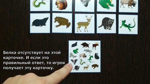 Бесплатная игра для изучения английского Loss in english смотреть онлайн