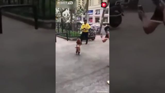 Щенок и ребёнок. смотреть онлайн