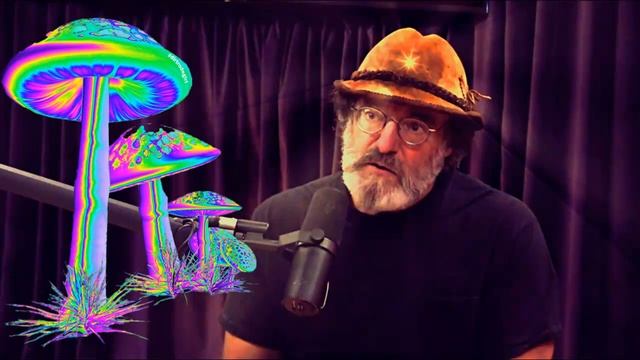 Джо Роган подкаст с Полом Стеметсом. Первый визит (Часть 5/10) смотреть онлайн