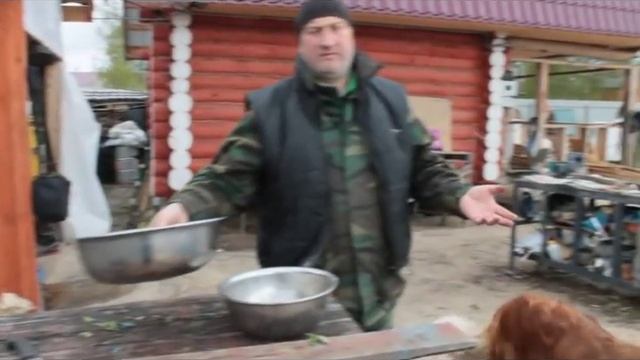 Дневной рацион питания для кур несушек весной смотреть онлайн
