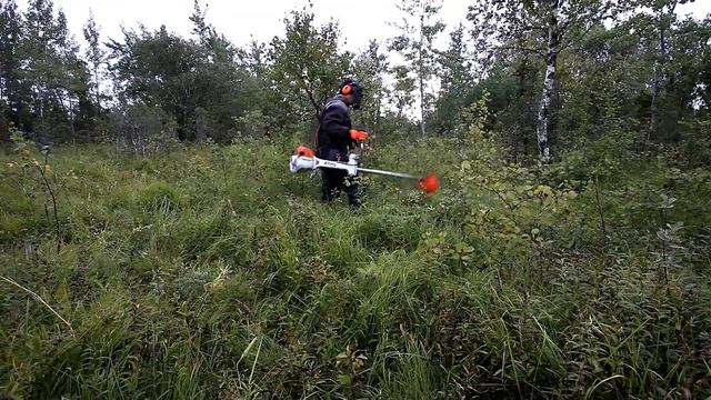Stihl FS560 + hakkenuga смотреть онлайн