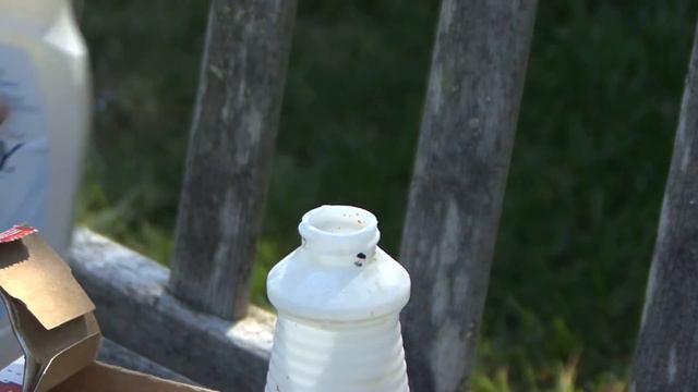 Summer Gardening - Rose Care Tips смотреть онлайн