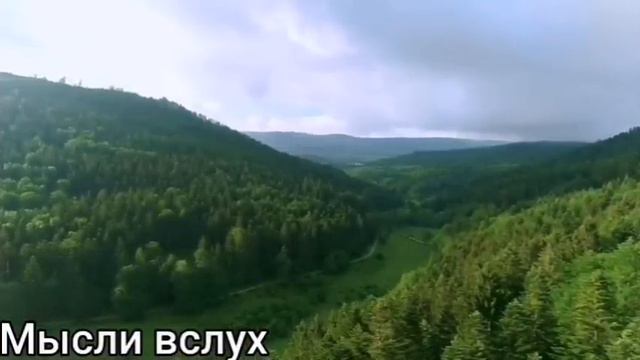 4 Синерылка Сбежинская самашедчи в роду есть?Обзывает подписчиц(Летели два верблюда. смотреть онлайн