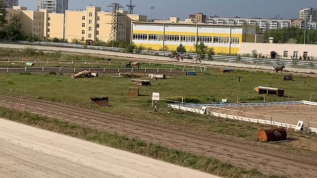 5 сентября 2021 г., 5 заезд, ГРУППОВОЙ для лошадей орловской породы 2-летнего возраста, 1600 м смотреть онлайн