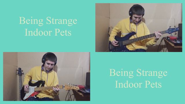 Being Strange - Indoor Pets (Guitar and Bass Cover) смотреть онлайн