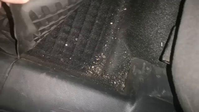 шкода кодиак 125. Удаляем битумные пятнами и следы краски с кузова.