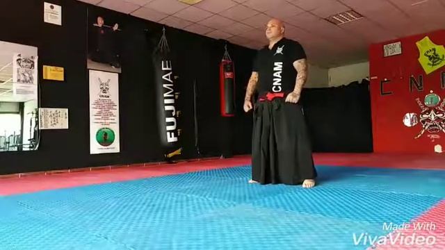 kaiten gata, ninjutsu смотреть онлайн