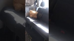 Крайслер Вояджер 5 поколения.