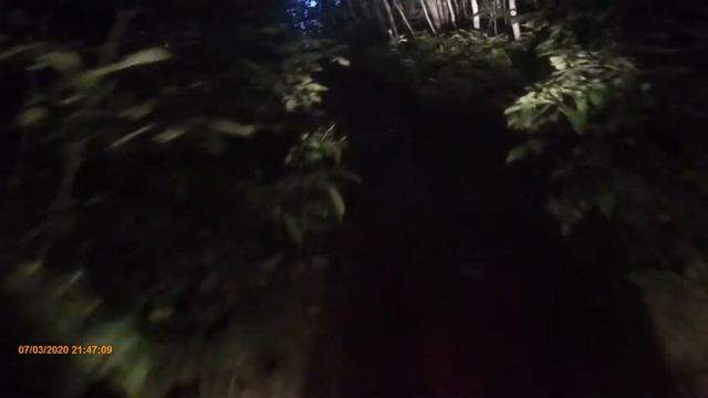 2017 Honda CRF250X Night ride in the trails! Trails and enduro Ep:4 смотреть онлайн