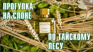 ПЕРВЫЙ ВАУ-ЭФФЕКТ-2024! DUSITA PARFUMS - ERAWAN // ОБЗОР АРОМАТА