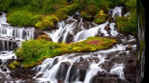 Поль Мориа "Sergio Presto"