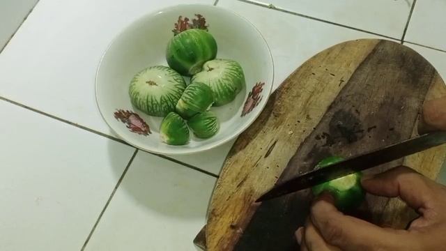 Macam Macam Jenis Terong Yang Bisa Kita Konsumsi