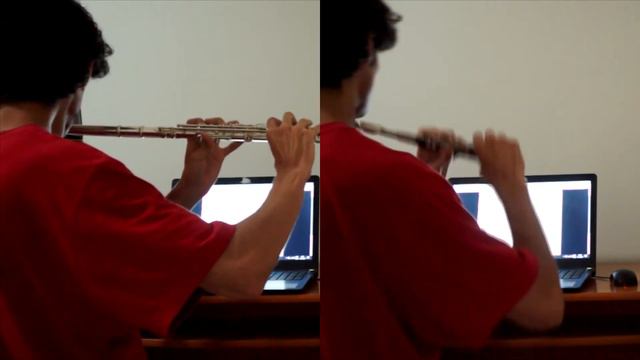 chrono trigger - at the botton of the night (flute/piccolo cover) смотреть онлайн