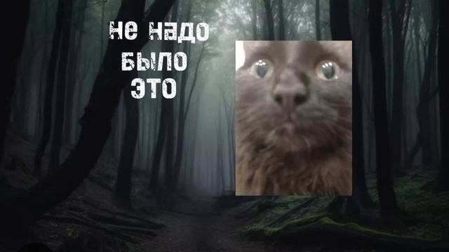 не надо было это кушать... смотреть онлайн
