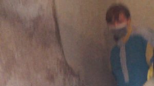 Как я избавилась от плесени и грибка на стенах