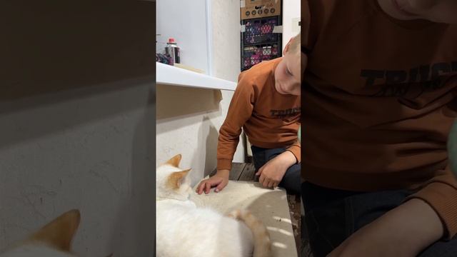 Вот и поговорили… а как всё хорошо начиналось! смотреть онлайн