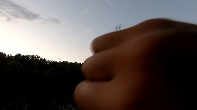 Вернулся что бы восстановить статус " КВО " смотреть онлайн