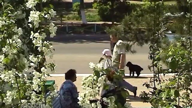 24. Евгений Мартынов - 