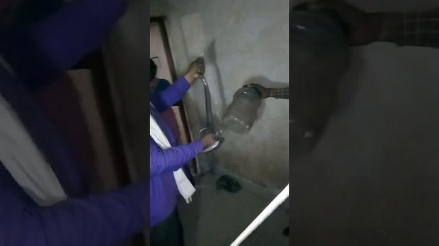Save's snake life смотреть онлайн
