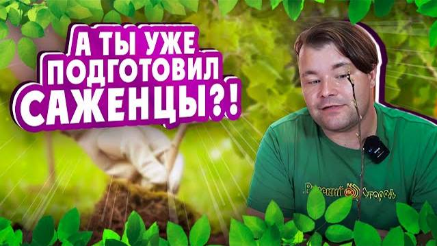 А ТЫ УЖЕ ПОДГОТОВИЛ САЖЕНЦЫ?! Подготавливаем саженцы к посадке правильно!