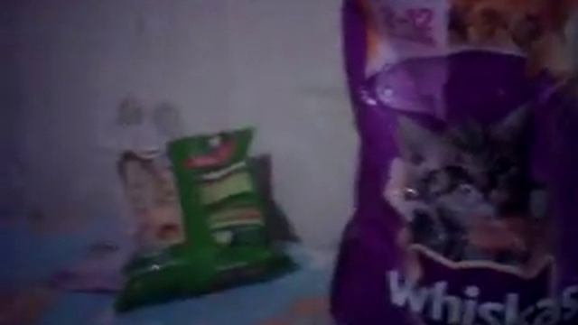 Каким кормом кормить вашего кота смотреть онлайн