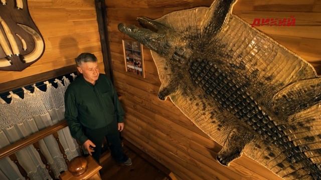 Трофейный дом Леонида Палько. Часть 2. смотреть онлайн