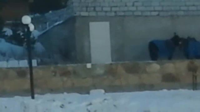 В Тас Булаке смотреть онлайн