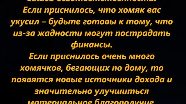 К чему снятся хомяки смотреть онлайн