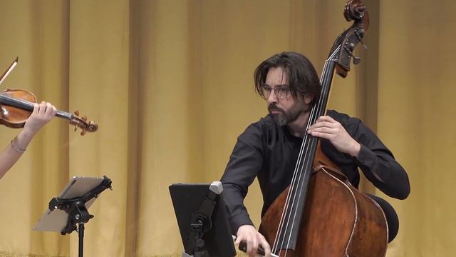 Storm // A. Vivaldi for Violin and Double Bass // Mihaela Costea / Antonio Mercurio смотреть онлайн