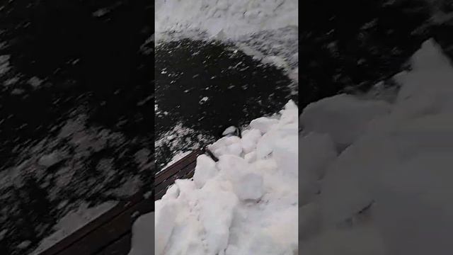 Как нужно гулять смотреть онлайн