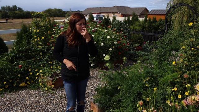 End Of Season Garden Tour (The Elm Tree Is Gone) ?// Garden Answer