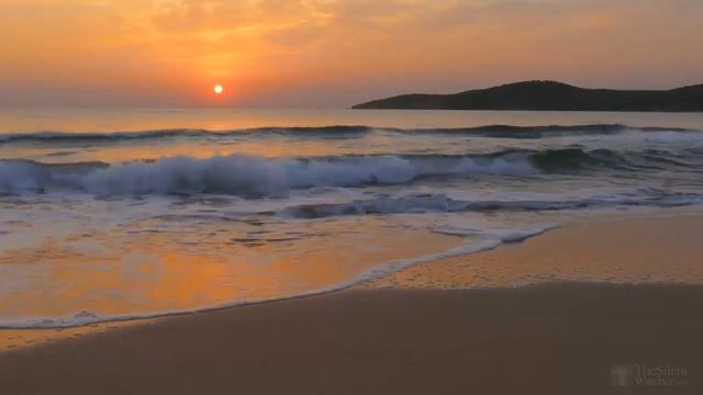 Мир снов - Боб Брэдли/ World Of Dreams - Bob Bradley