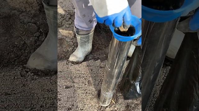 Картошка в грядках. Вяленый окунь против проволочника. Ручная картофелесажалка в действии. #Shorts смотреть онлайн