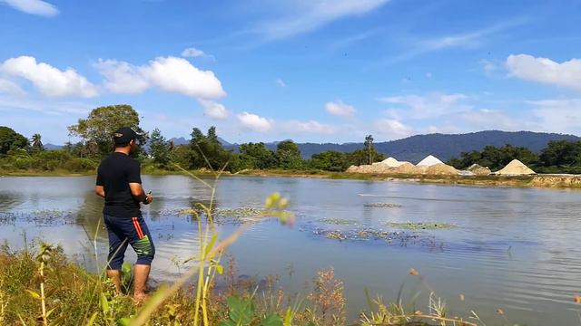 FEILUN FT016 RC BOAT смотреть онлайн