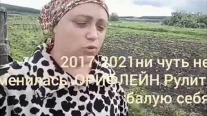 Счастливая семья из сибири Перовы, вечно молодая, обзор на канал