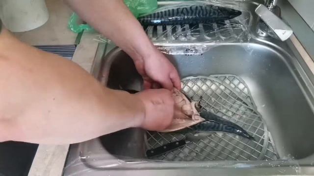 ОСА Как разделать скумбрию для приготовления Ковчега смотреть онлайн