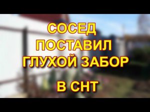 Сосед установил глухой забор в СНТ? Соседские споры.