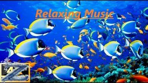 Наслаждайтесь мирными аквариумами и красивыми рыбками кораллового рифа