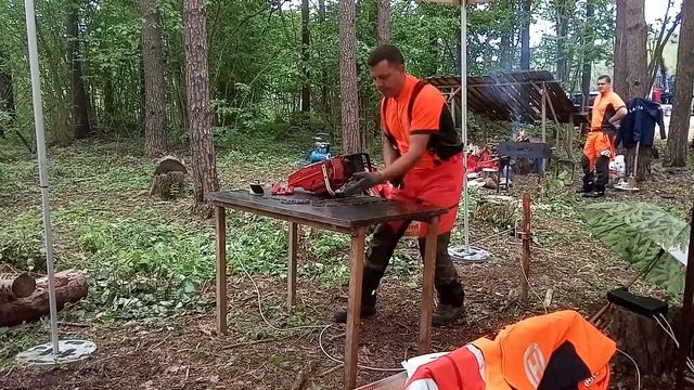 Meža dienas-slika zāģi 12 sekundes! смотреть онлайн