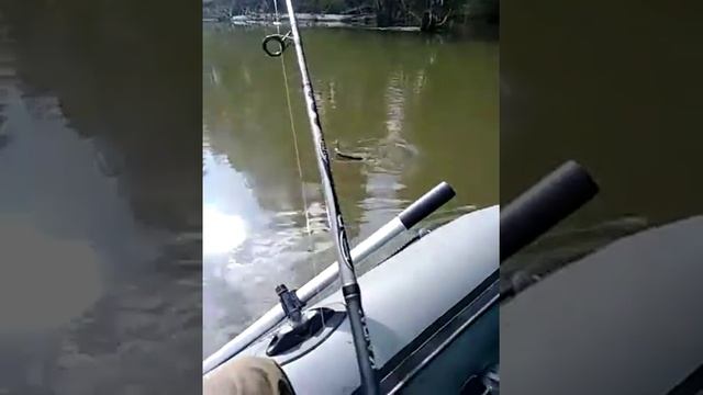 Рыбалка на реке Кемь 2 смотреть онлайн