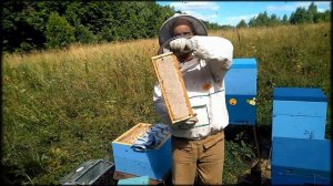 Пасека у родника. Пчеловодство.Нефтекамск.