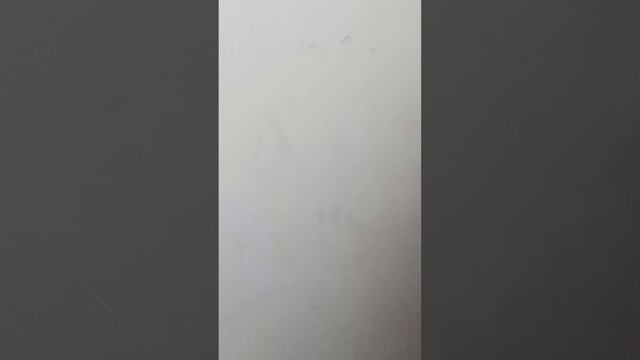 Липецк маршрут 343