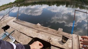 Ловля карпа на попкорн. Хотели наловить карася, а наловили карпа! Рыбалка май 2020