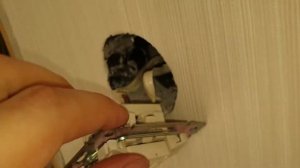 Как достать провод из самозажимного выключателя Legrand Valena.