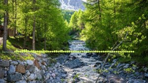 АСИЯТ МАГОМЕДОВА -ДЕРХЪАБ 2024