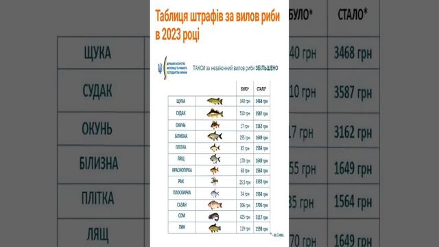 Новые правила рыбалки 2023 #Shorts смотреть онлайн