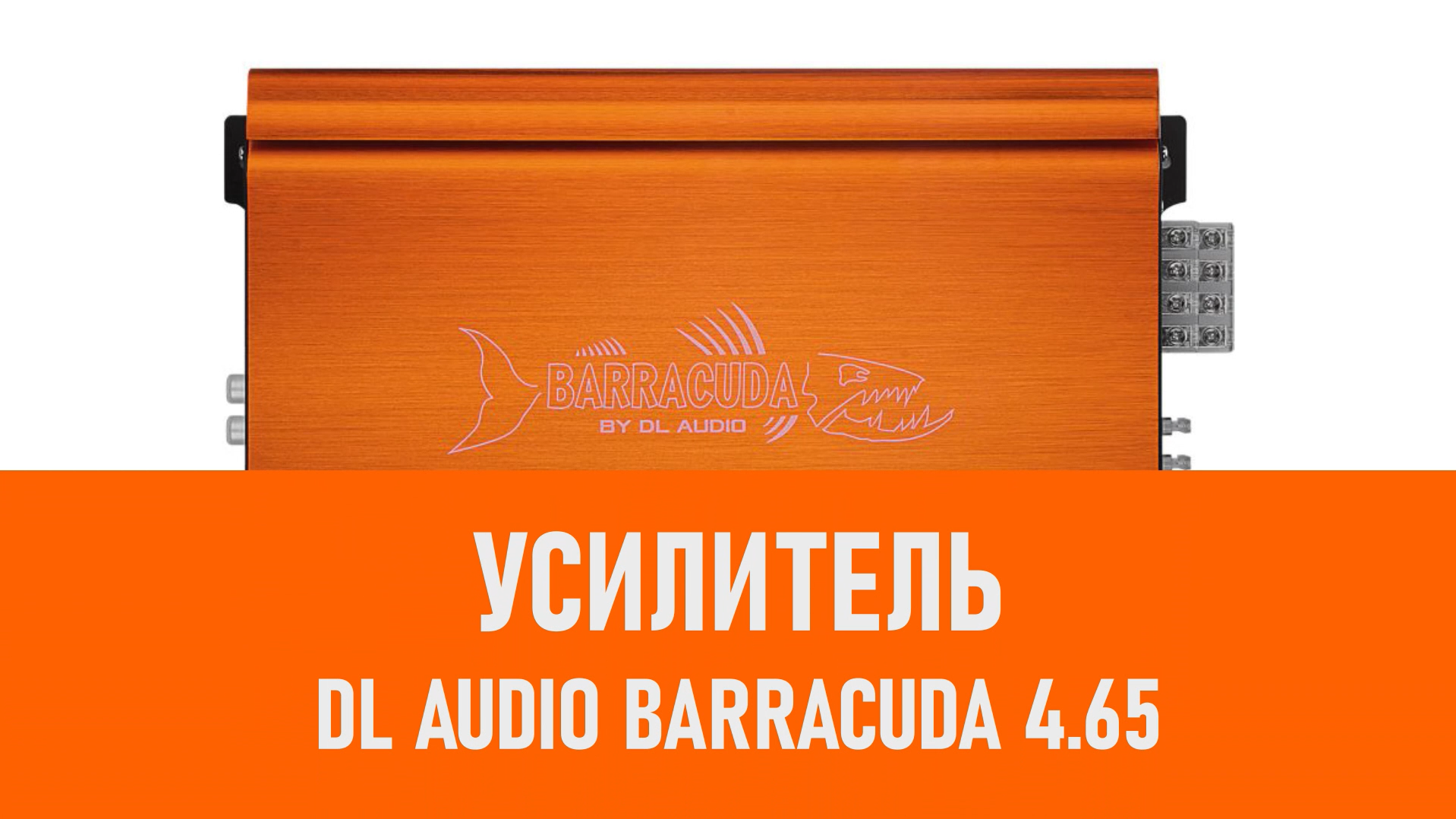 Распаковка усилителя DL Audio Barracuda 4.65 смотреть онлайн
